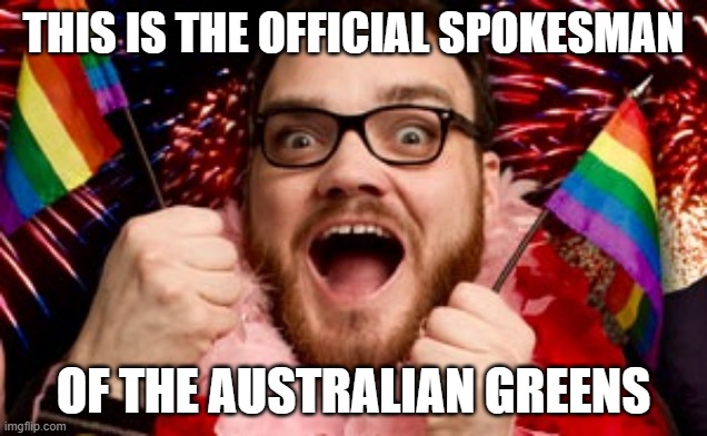 Really Gay Guy | THIS IS THE OFFICIAL SPOKESMAN; OF THE AUSTRALIAN GREENS | image tagged in really gay guy,gay guy,greens,champagne,socialist,lgbt | made w/ Imgflip meme maker