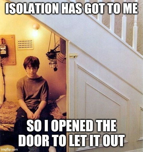 harry potter unde rthe stairs | ISOLATION HAS GOT TO ME; SO I OPENED THE DOOR TO LET IT OUT | image tagged in harry potter unde rthe stairs | made w/ Imgflip meme maker