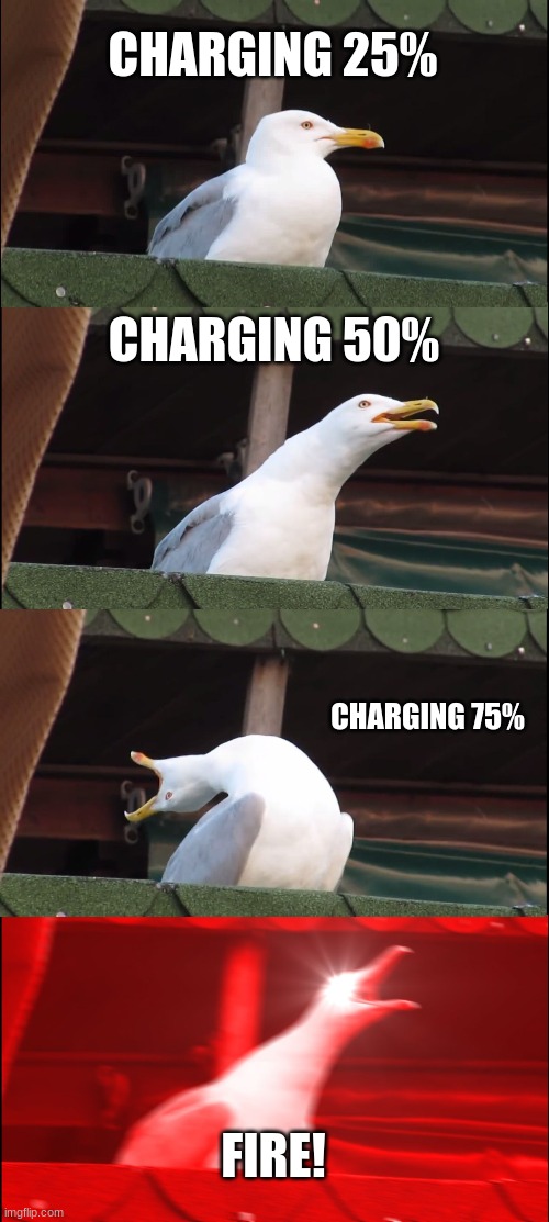 Inhaling Seagull | CHARGING 25%; CHARGING 50%; CHARGING 75%; FIRE! | image tagged in memes,inhaling seagull | made w/ Imgflip meme maker