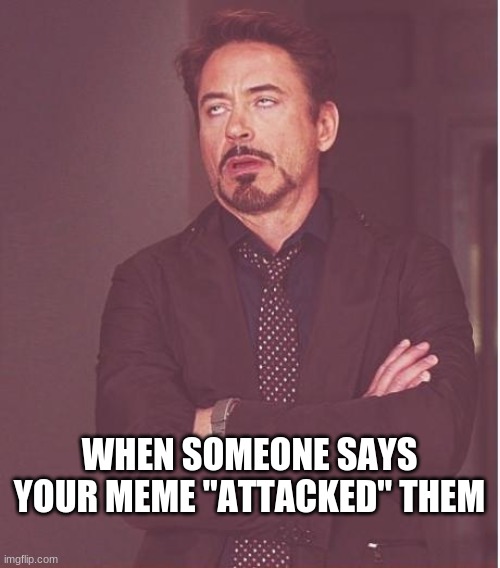 Face You Make Robert Downey Jr | WHEN SOMEONE SAYS YOUR MEME "ATTACKED" THEM | image tagged in memes,face you make robert downey jr | made w/ Imgflip meme maker