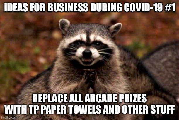 Evil genius | IDEAS FOR BUSINESS DURING COVID-19 #1; REPLACE ALL ARCADE PRIZES WITH TP PAPER TOWELS AND OTHER STUFF | image tagged in memes,evil plotting raccoon | made w/ Imgflip meme maker