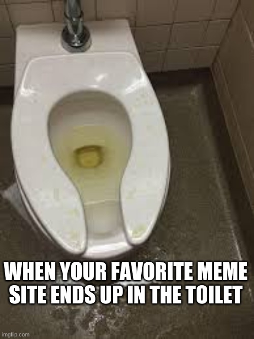 WHEN YOUR FAVORITE MEME SITE ENDS UP IN THE TOILET | image tagged in memes,funny memes,dank,dank memes,toilet,toilet humor | made w/ Imgflip meme maker