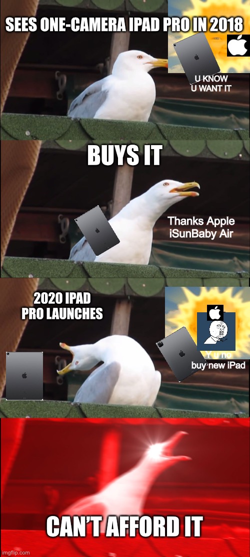 Everyone relates to this seagull | SEES ONE-CAMERA IPAD PRO IN 2018; U KNOW U WANT IT; BUYS IT; Thanks Apple iSunBaby Air; 2020 IPAD PRO LAUNCHES; Y u no buy new iPad; CAN’T AFFORD IT | image tagged in memes,inhaling seagull,ipad,apple,y u no | made w/ Imgflip meme maker