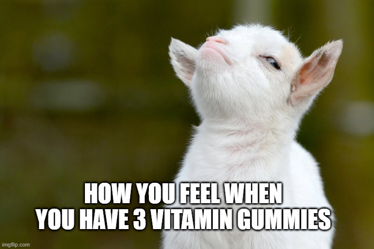 HOW YOU FEEL WHEN YOU HAVE 3 VITAMIN GUMMIES | image tagged in proud baby goat | made w/ Imgflip meme maker
