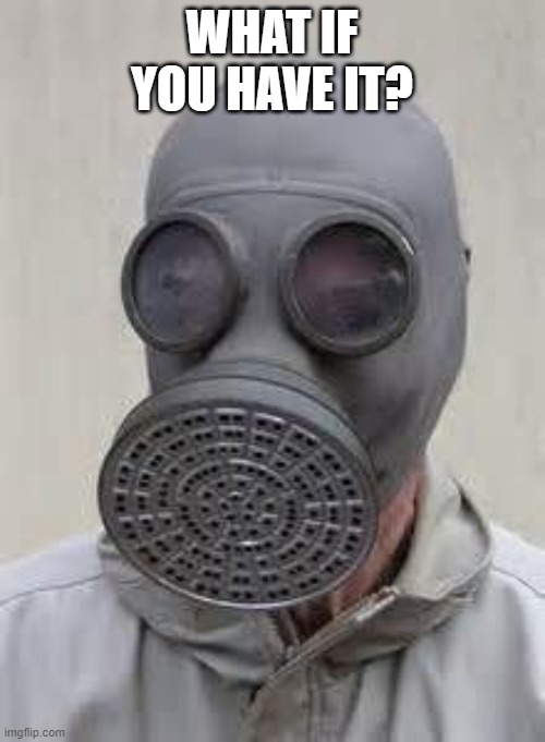 Gas mask | WHAT IF YOU HAVE IT? | image tagged in gas mask | made w/ Imgflip meme maker