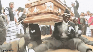 Going out of home during the quarantine and returning be like. | image tagged in gifs,memes,funny memes,funny,coffin dance,dancing funeral | made w/ Imgflip video-to-gif maker