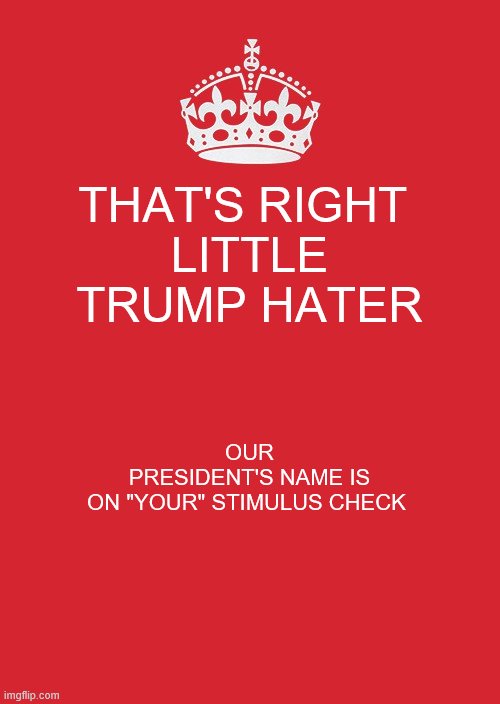 Little Trump Hater | THAT'S RIGHT 
LITTLE TRUMP HATER; OUR PRESIDENT'S NAME IS ON "YOUR" STIMULUS CHECK | image tagged in memes | made w/ Imgflip meme maker