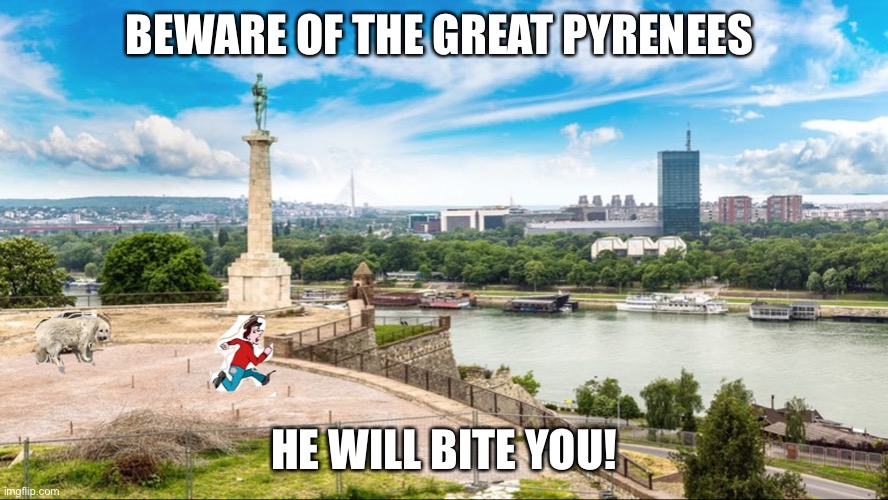 BEWARE OF THE GREAT PYRENEES; HE WILL BITE YOU! | image tagged in dogs | made w/ Imgflip meme maker