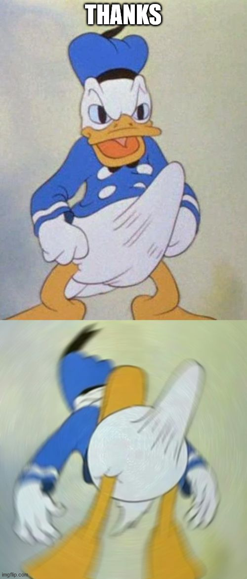 donald duck boner | THANKS | image tagged in donald duck boner | made w/ Imgflip meme maker