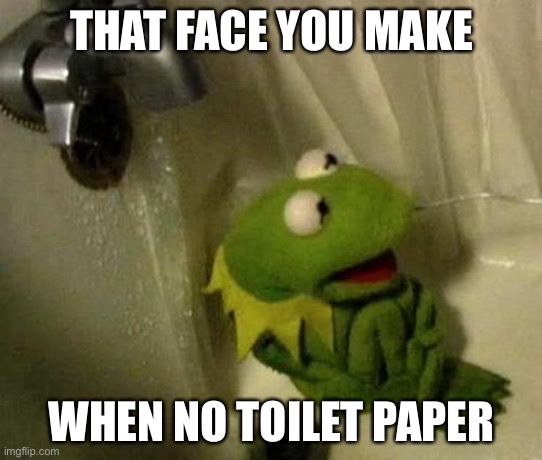 Kermit on Shower | THAT FACE YOU MAKE; WHEN NO TOILET PAPER | image tagged in kermit on shower | made w/ Imgflip meme maker