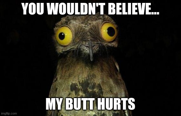 Weird Stuff I Do Potoo Meme | YOU WOULDN'T BELIEVE... MY BUTT HURTS | image tagged in memes,weird stuff i do potoo | made w/ Imgflip meme maker