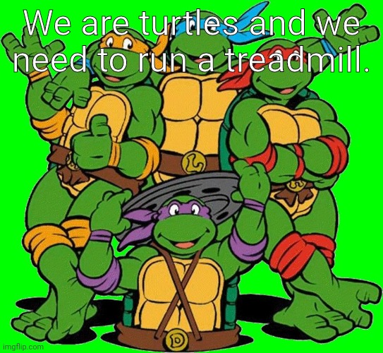 Ninja Turtles | We are turtles and we need to run a treadmill. | image tagged in ninja turtles | made w/ Imgflip meme maker