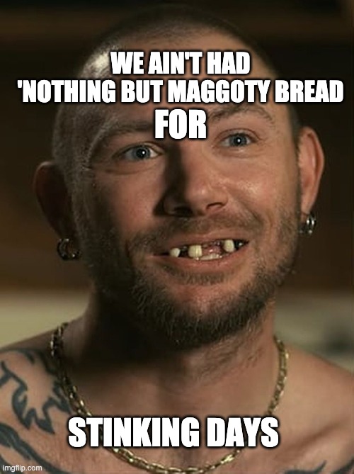 Tiger King - John Finlay | WE AIN'T HAD 'NOTHING BUT MAGGOTY BREAD; FOR; STINKING DAYS | image tagged in tiger king - john finlay | made w/ Imgflip meme maker