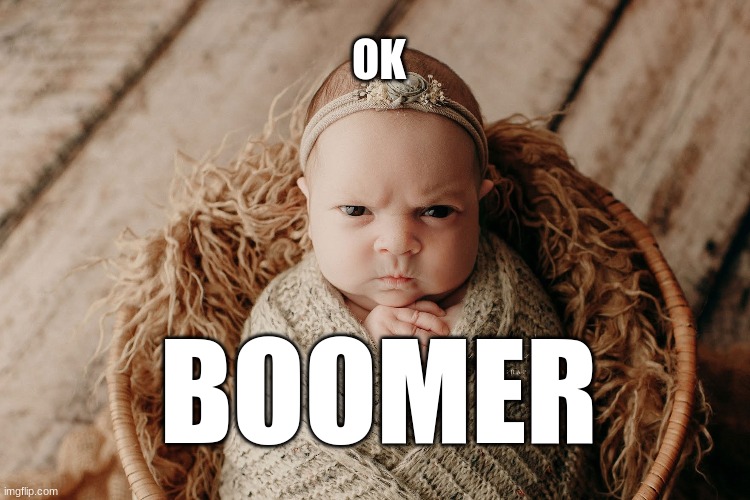 Okay Boomer | OK BOOMER | image tagged in okay boomer | made w/ Imgflip meme maker