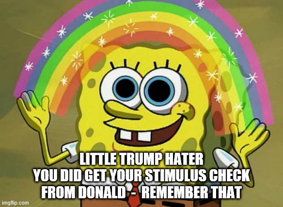 Imagination Spongebob Meme | LITTLE TRUMP HATER
YOU DID GET YOUR STIMULUS CHECK
FROM DONALD  -  REMEMBER THAT | image tagged in memes,imagination spongebob | made w/ Imgflip meme maker