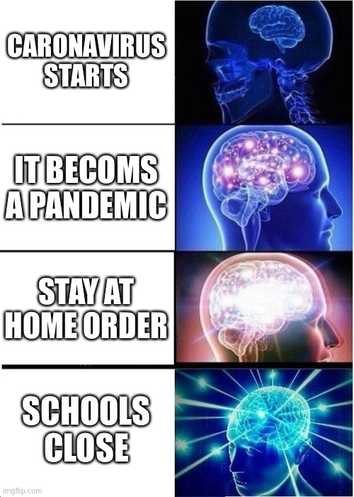 Expanding Brain | CARONAVIRUS STARTS; IT BECOMS A PANDEMIC; STAY AT HOME ORDER; SCHOOLS CLOSE | image tagged in memes,expanding brain | made w/ Imgflip meme maker