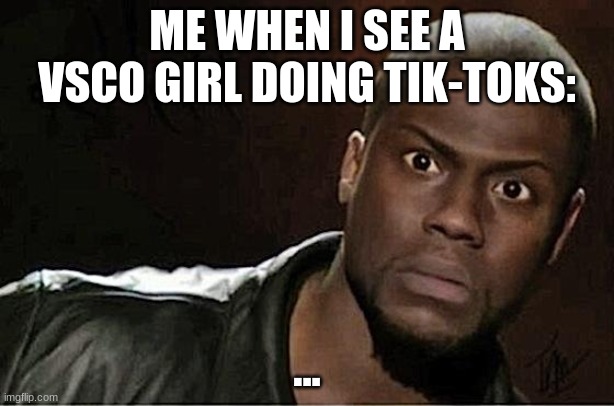 Kevin Hart | ME WHEN I SEE A VSCO GIRL DOING TIK-TOKS:; ... | image tagged in memes,kevin hart | made w/ Imgflip meme maker