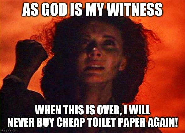 as-god-is-my-witness | AS GOD IS MY WITNESS; WHEN THIS IS OVER, I WILL NEVER BUY CHEAP TOILET PAPER AGAIN! | image tagged in as-god-is-my-witness | made w/ Imgflip meme maker