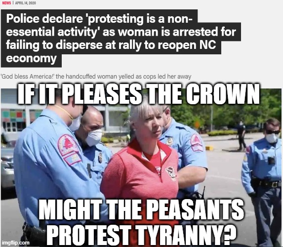 If It Pleases the Crown | IF IT PLEASES THE CROWN; MIGHT THE PEASANTS PROTEST TYRANNY? | image tagged in covid-19,politics | made w/ Imgflip meme maker