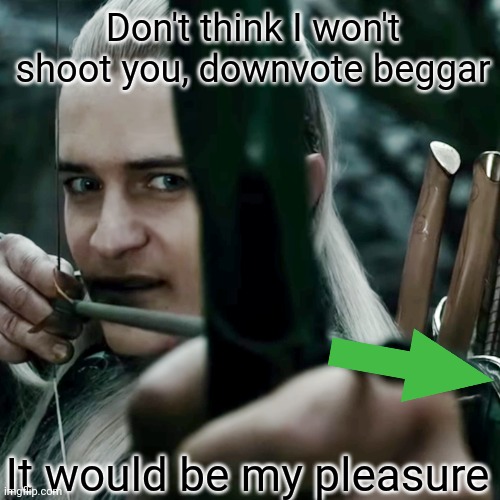 Don't think I won't shoot you, downvote beggar It would be my pleasure | made w/ Imgflip meme maker