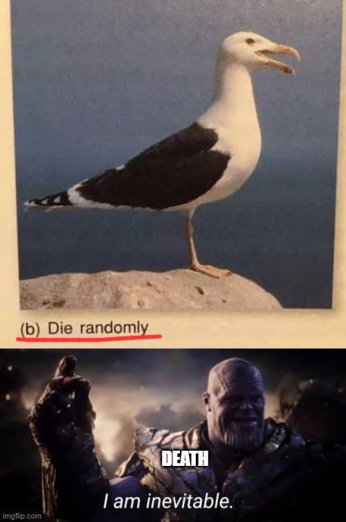 DEATH | image tagged in i am inevitable | made w/ Imgflip meme maker