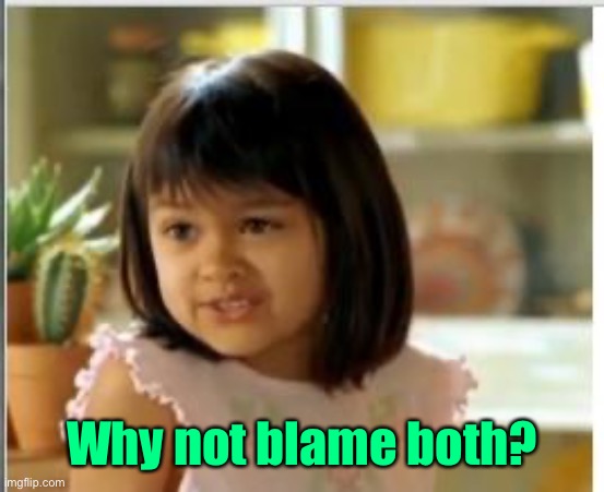 Why not both | Why not blame both? | image tagged in why not both | made w/ Imgflip meme maker