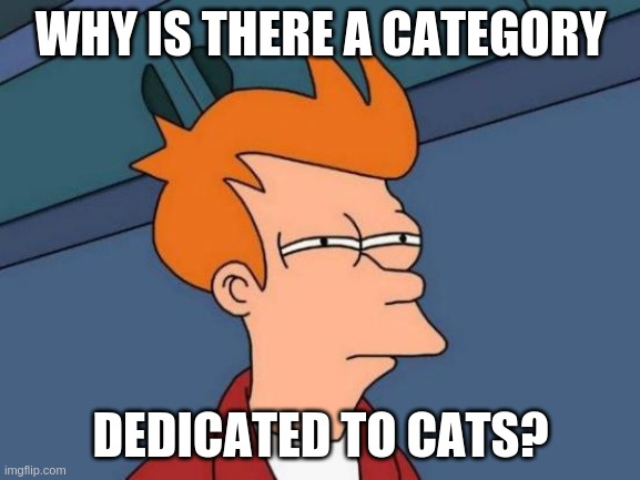 Cats? | WHY IS THERE A CATEGORY; DEDICATED TO CATS? | image tagged in memes,futurama fry,why,huh | made w/ Imgflip meme maker