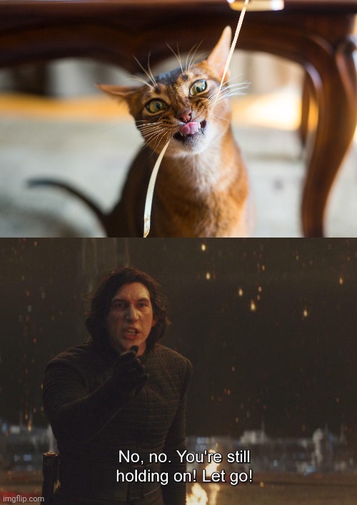 When your cat won't let go of the string | image tagged in kylo ren let go,cats,strings,memes,star wars,kylo ren | made w/ Imgflip meme maker