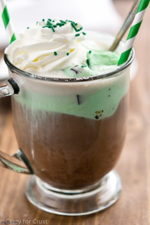 Mint Chocolate Chip Ice | made w/ Imgflip meme maker