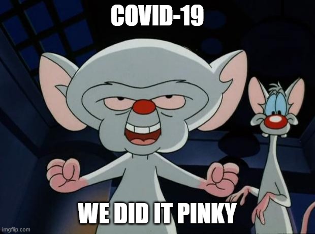 Pinky and the Brain | COVID-19; WE DID IT PINKY | image tagged in pinky and the brain | made w/ Imgflip meme maker