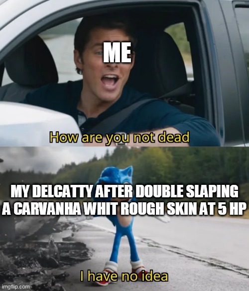 Sonic I have no idea | ME; MY DELCATTY AFTER DOUBLE SLAPING A CARVANHA WHIT ROUGH SKIN AT 5 HP | image tagged in sonic i have no idea | made w/ Imgflip meme maker