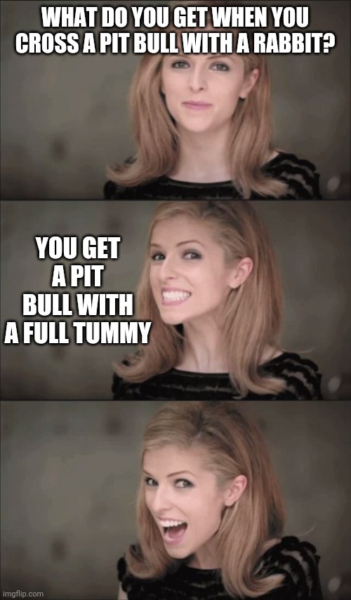 Bad Pun Anna Kendrick Meme | WHAT DO YOU GET WHEN YOU CROSS A PIT BULL WITH A RABBIT? YOU GET A PIT BULL WITH A FULL TUMMY | image tagged in memes,bad pun anna kendrick | made w/ Imgflip meme maker