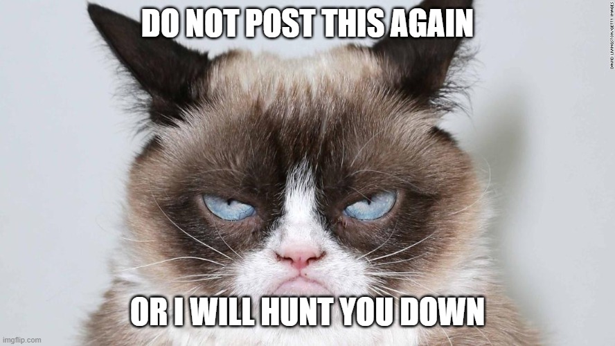 grumpy cat 2.0 | DO NOT POST THIS AGAIN OR I WILL HUNT YOU DOWN | image tagged in grumpy cat 20 | made w/ Imgflip meme maker