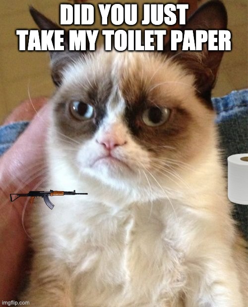 Grumpy Cat | DID YOU JUST TAKE MY TOILET PAPER | image tagged in memes,grumpy cat | made w/ Imgflip meme maker