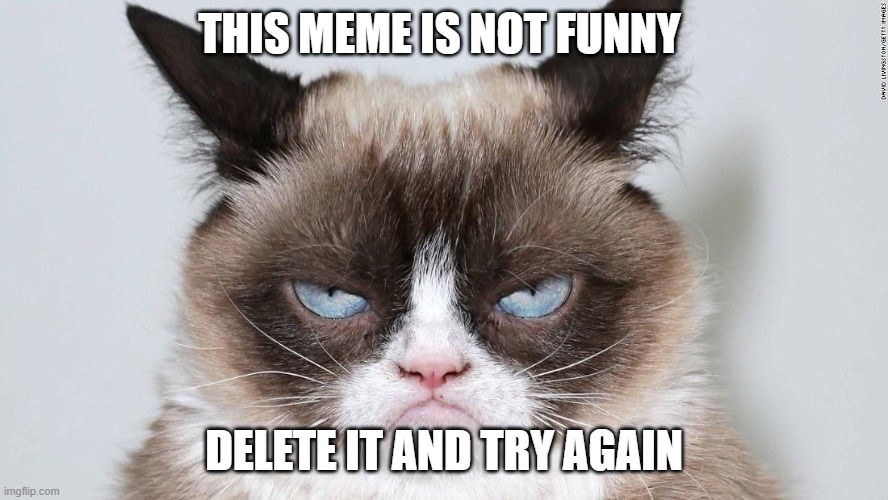 grumpy cat 2.0 | THIS MEME IS NOT FUNNY DELETE IT AND TRY AGAIN | image tagged in grumpy cat 20 | made w/ Imgflip meme maker