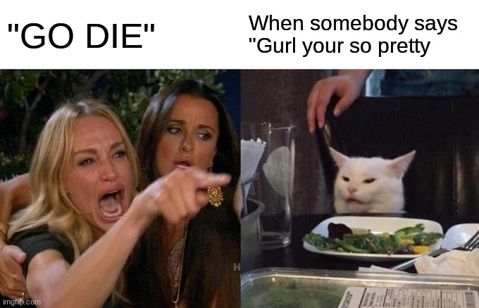 Woman Yelling At Cat Meme | "GO DIE"; When somebody says "Gurl your so pretty | image tagged in memes,woman yelling at cat | made w/ Imgflip meme maker