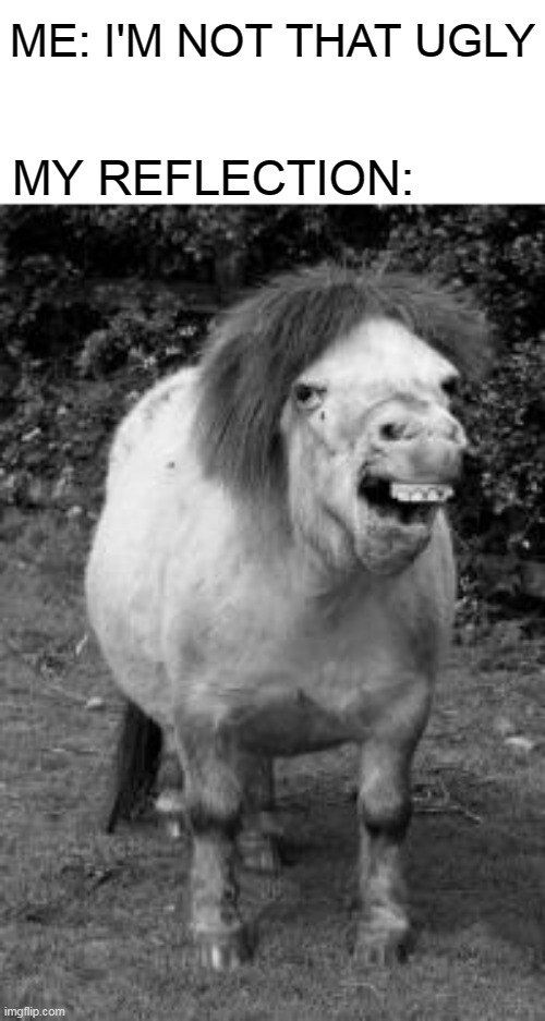 ugly horse | ME: I'M NOT THAT UGLY; MY REFLECTION: | image tagged in ugly horse | made w/ Imgflip meme maker