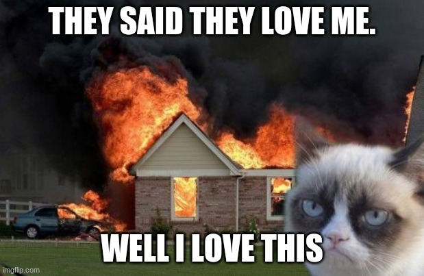 Burn Kitty Meme | THEY SAID THEY LOVE ME. WELL I LOVE THIS | image tagged in memes,burn kitty,grumpy cat | made w/ Imgflip meme maker