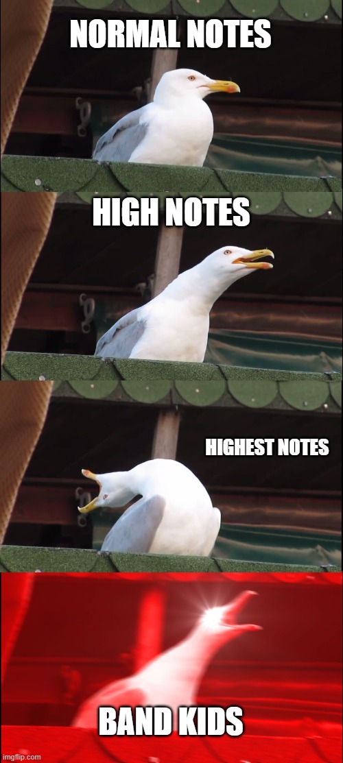 Inhaling Seagull | NORMAL NOTES; HIGH NOTES; HIGHEST NOTES; BAND KIDS | image tagged in memes,inhaling seagull | made w/ Imgflip meme maker