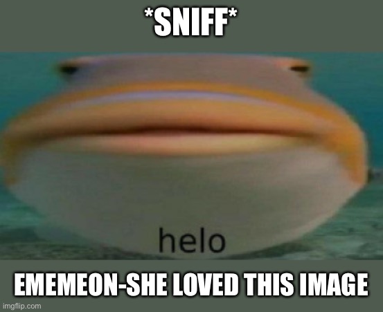 helo | *SNIFF*; EMEMEON-SHE LOVED THIS IMAGE | image tagged in helo | made w/ Imgflip meme maker
