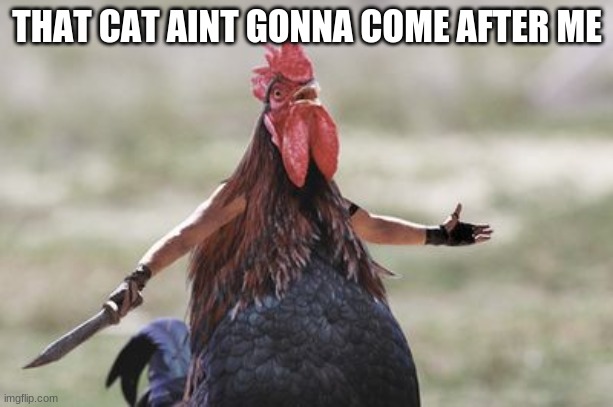 chiken | THAT CAT AINT GONNA COME AFTER ME | image tagged in chiken | made w/ Imgflip meme maker