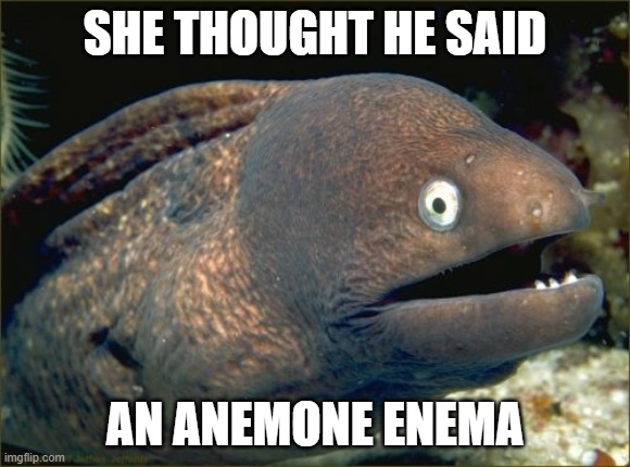 Bad Joke Eel Meme | SHE THOUGHT HE SAID AN ANEMONE ENEMA | image tagged in memes,bad joke eel | made w/ Imgflip meme maker