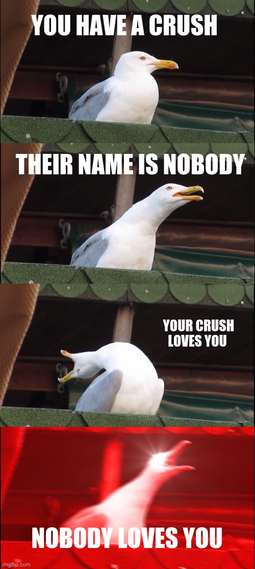 Inhaling Seagull | YOU HAVE A CRUSH; THEIR NAME IS NOBODY; YOUR CRUSH LOVES YOU; NOBODY LOVES YOU | image tagged in memes,inhaling seagull | made w/ Imgflip meme maker
