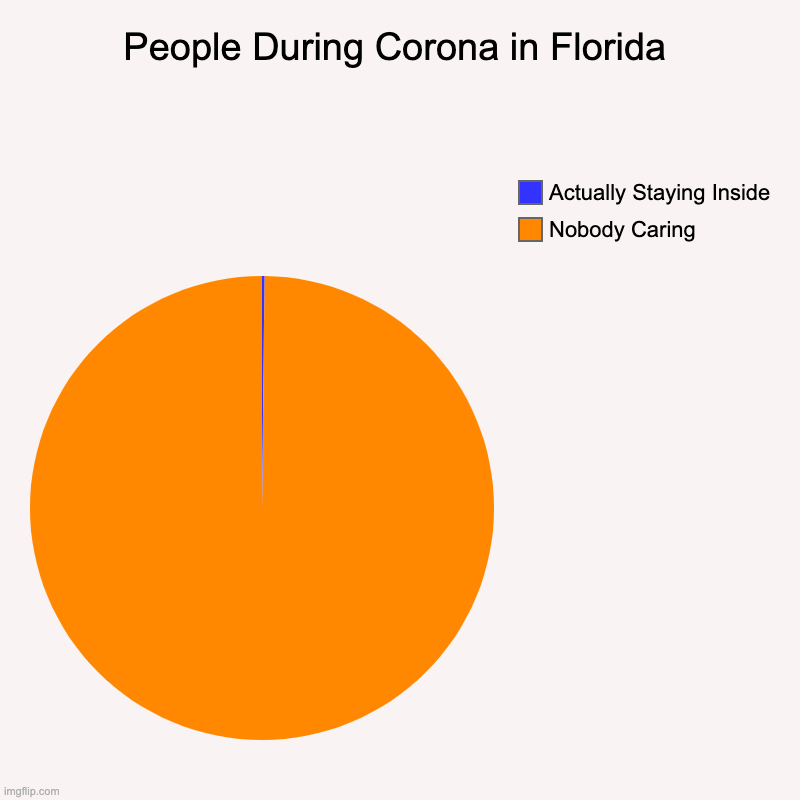 People During Corona in Florida | Nobody Caring, Actually Staying Inside | image tagged in charts,pie charts | made w/ Imgflip chart maker