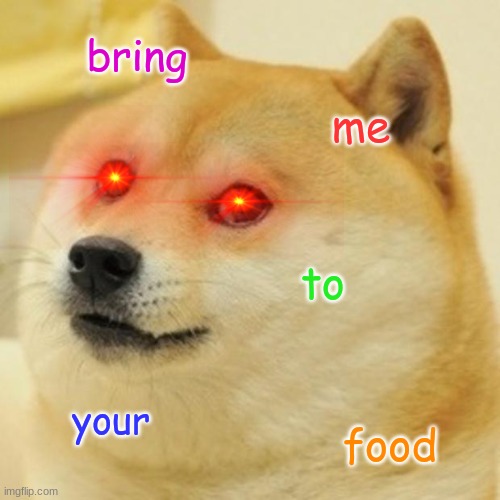 hungry | bring; me; to; your; food | image tagged in memes,doge | made w/ Imgflip meme maker