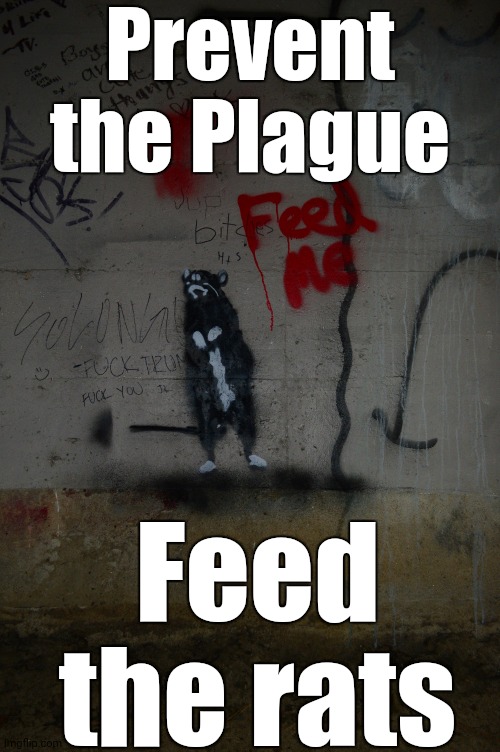 Feed the rats | Prevent the Plague; Feed the rats | image tagged in rats,coronavirus,plague,starving | made w/ Imgflip meme maker