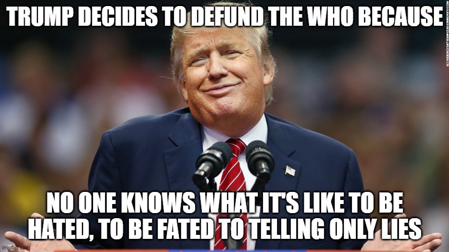Who The %^@# Are You? | TRUMP DECIDES TO DEFUND THE WHO BECAUSE; NO ONE KNOWS WHAT IT'S LIKE TO BE HATED, TO BE FATED TO TELLING ONLY LIES | image tagged in trump shrug,the who | made w/ Imgflip meme maker