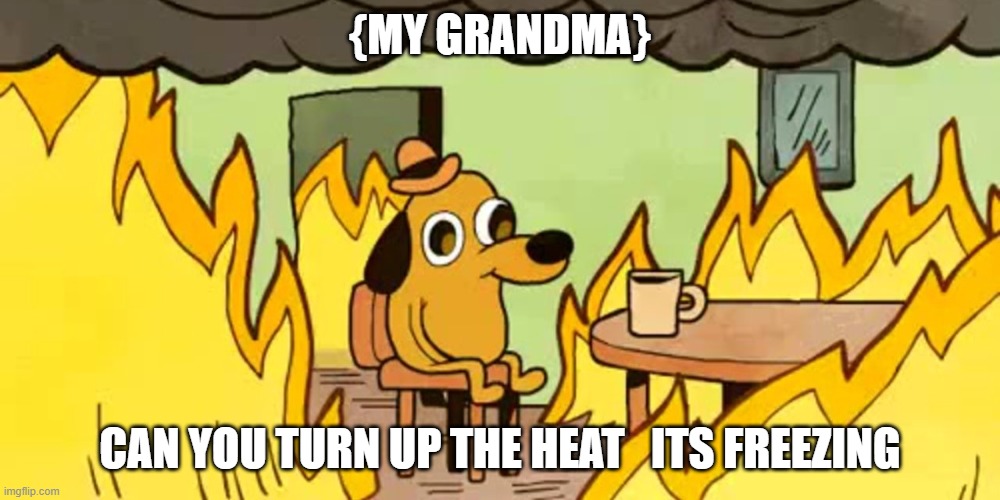 Dog on fire |  {MY GRANDMA}; CAN YOU TURN UP THE HEAT   ITS FREEZING | image tagged in dog on fire | made w/ Imgflip meme maker