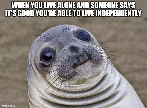 Awkward Moment Sealion | WHEN YOU LIVE ALONE AND SOMEONE SAYS IT'S GOOD YOU'RE ABLE TO LIVE INDEPENDENTLY | image tagged in memes,awkward moment sealion | made w/ Imgflip meme maker