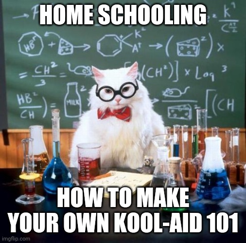 Chemistry Cat | HOME SCHOOLING; HOW TO MAKE YOUR OWN KOOL-AID 101 | image tagged in memes,chemistry cat | made w/ Imgflip meme maker